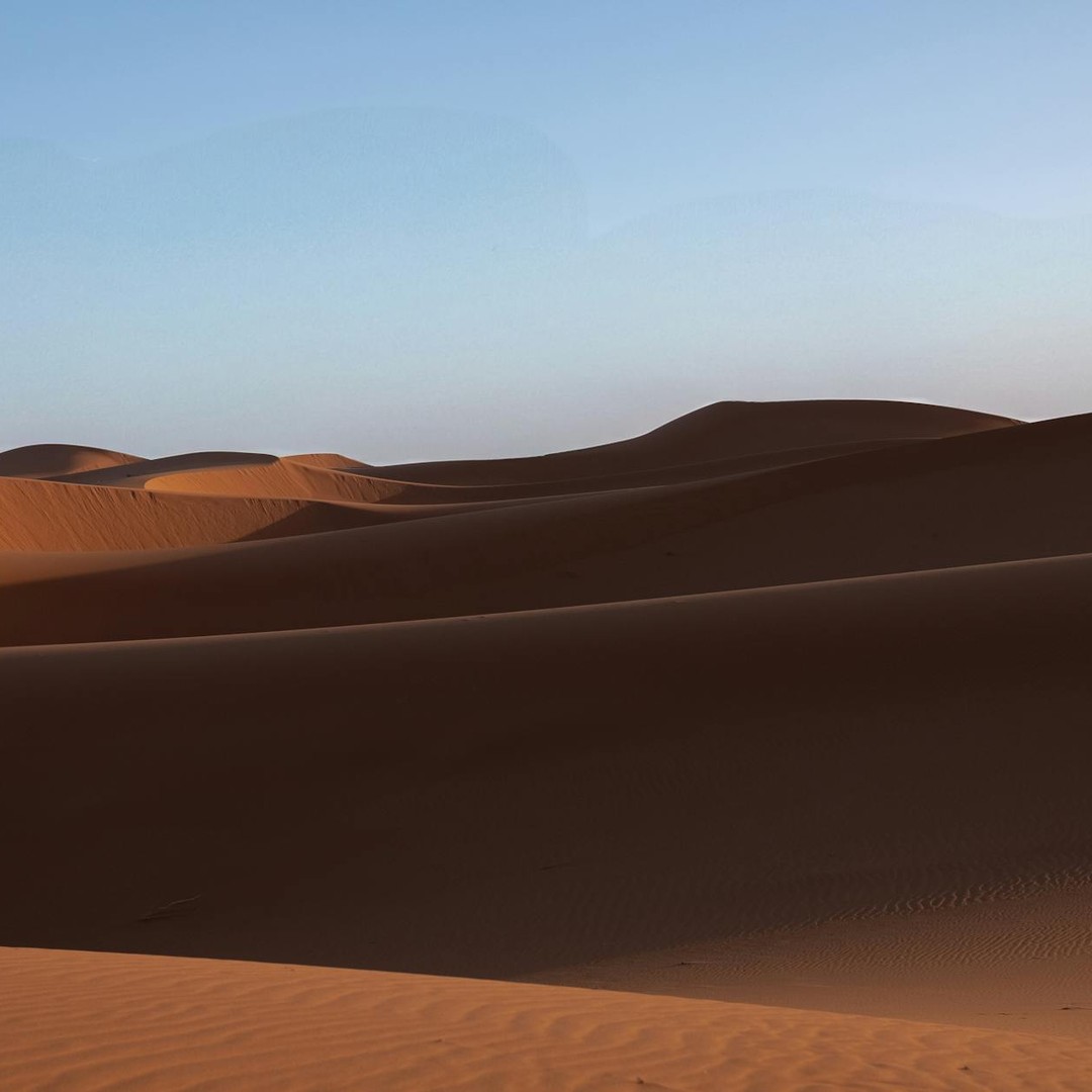 Le Sahara a connu des périodes beaucoup plus vertes.