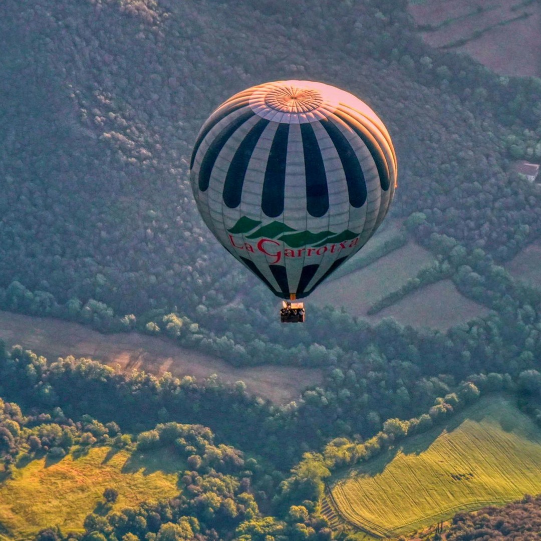 Les montgolfières ont transporté des animaux avant des humains.