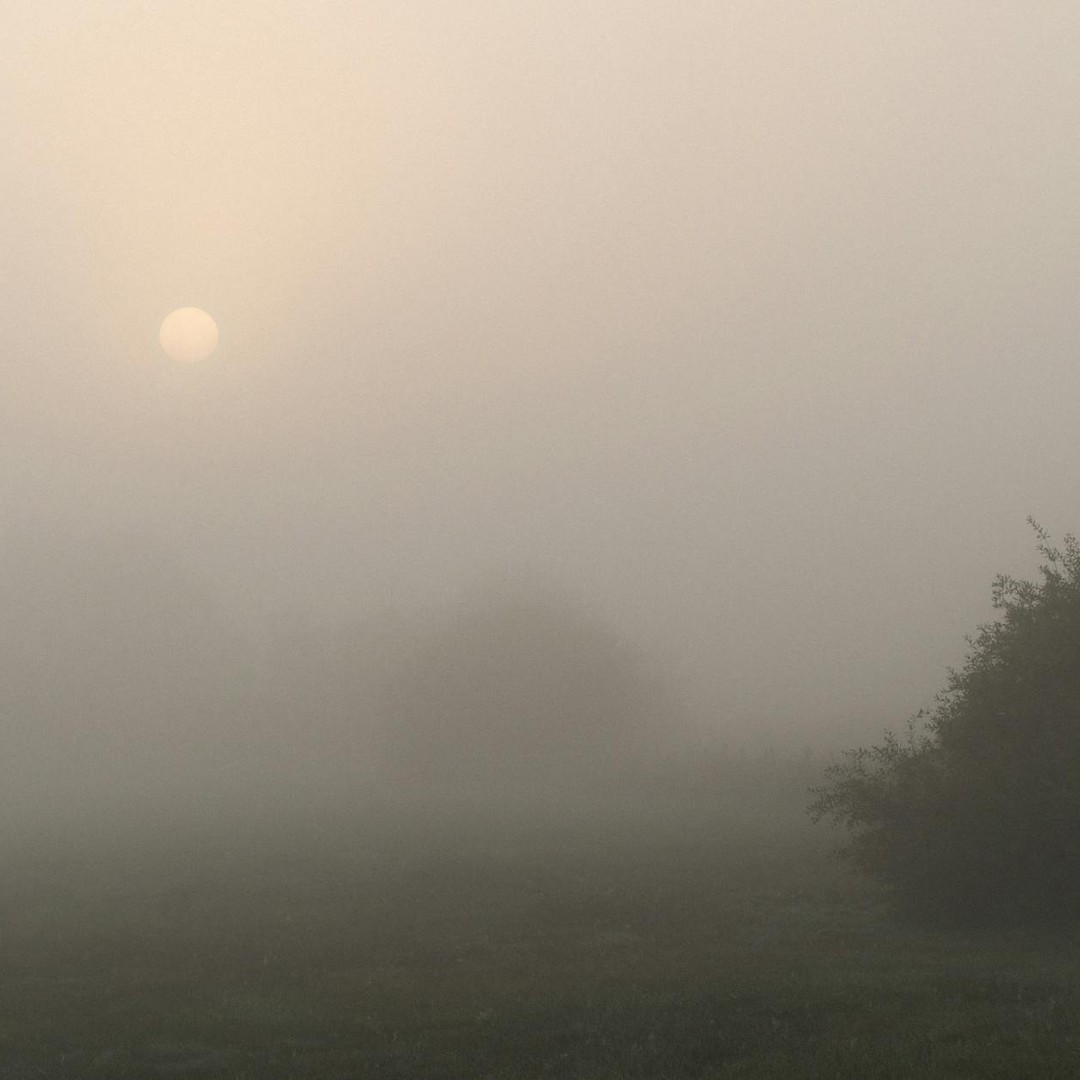 Le brouillard est un nuage au niveau du sol.