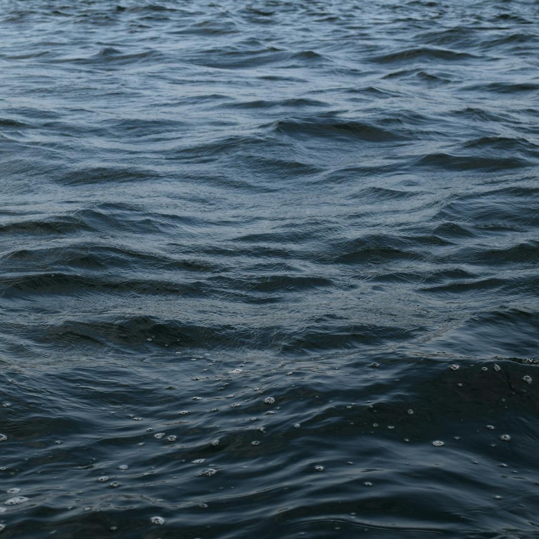 Le Gulf Stream aide à adoucir une partie du climat européen.