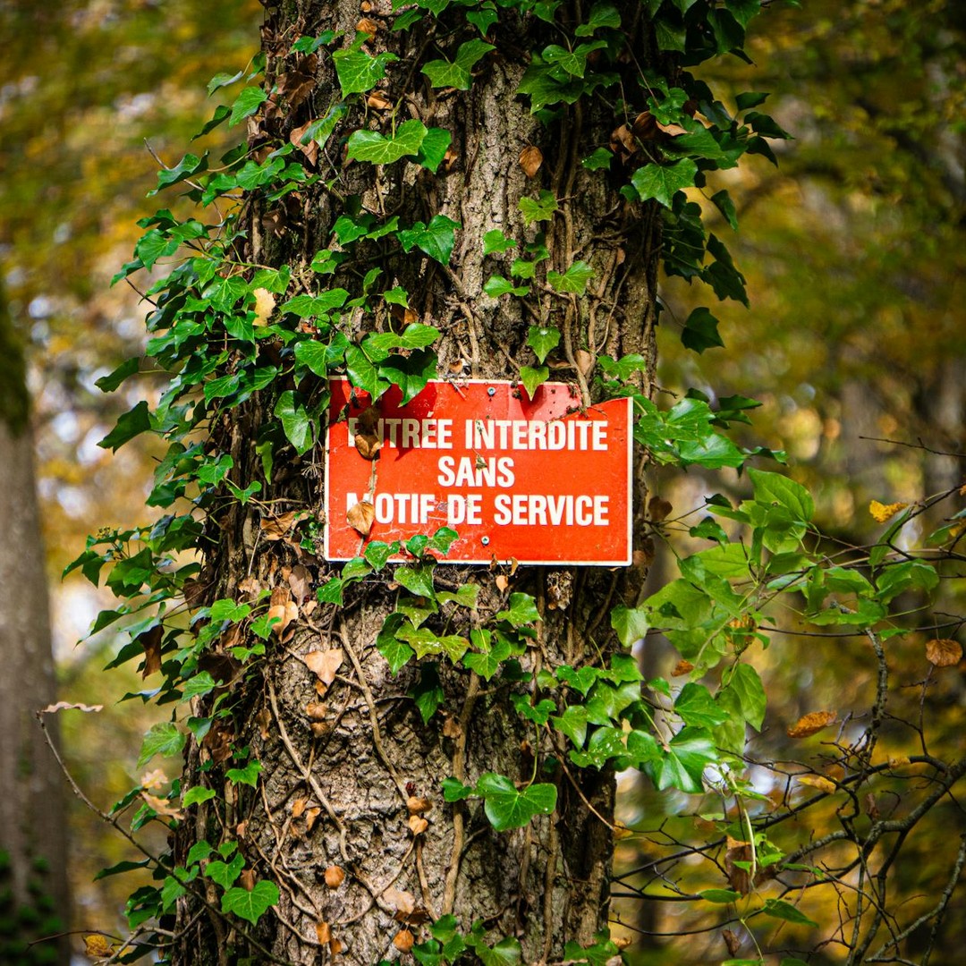 L'attention sélective peut faire manquer un événement pourtant visible.