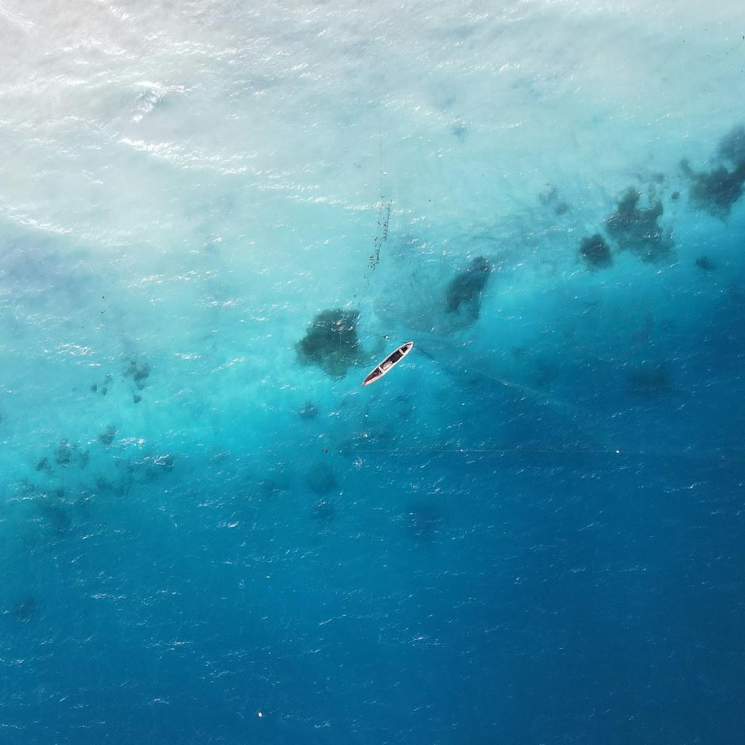 Le point Nemo est l'endroit de l'océan le plus éloigné de toute terre émergée.