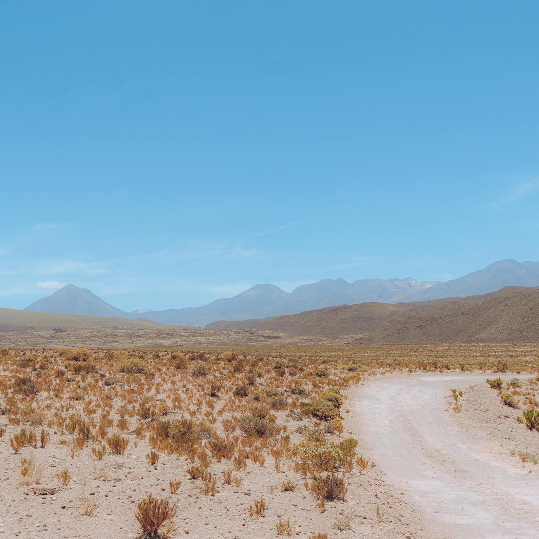 Le désert d'Atacama compte parmi les régions non polaires les plus sèches du monde.