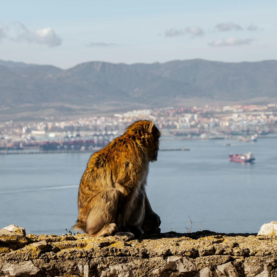 Le détroit de Gibraltar sépare l'Europe de l'Afrique par une courte distance.