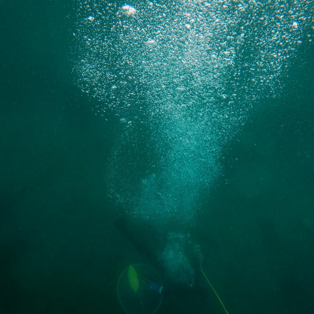 Les cheminées hydrothermales abritent une vie qui dépend de réactions chimiques.