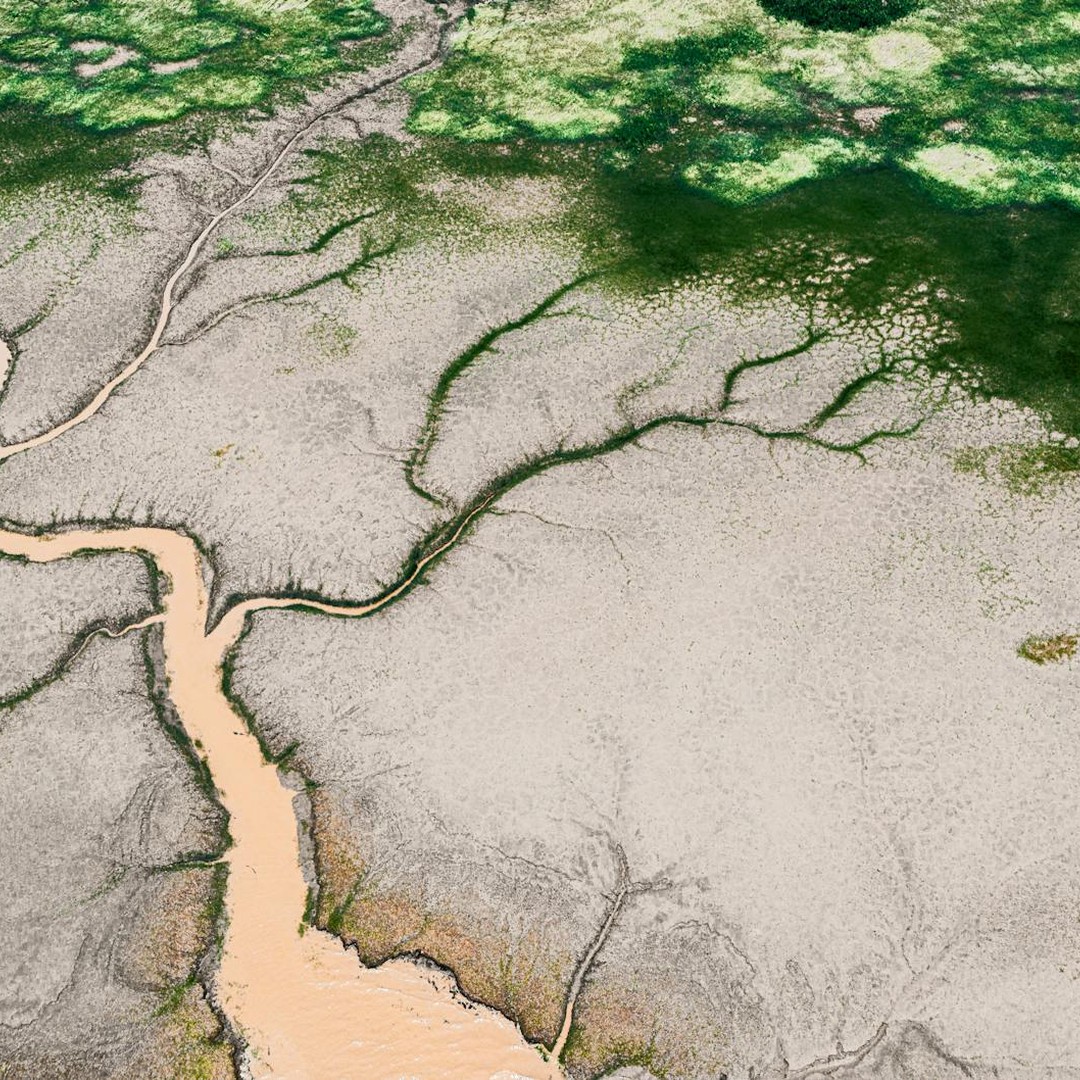 Le delta de l'Okavango se termine dans le desert au lieu de rejoindre la mer.