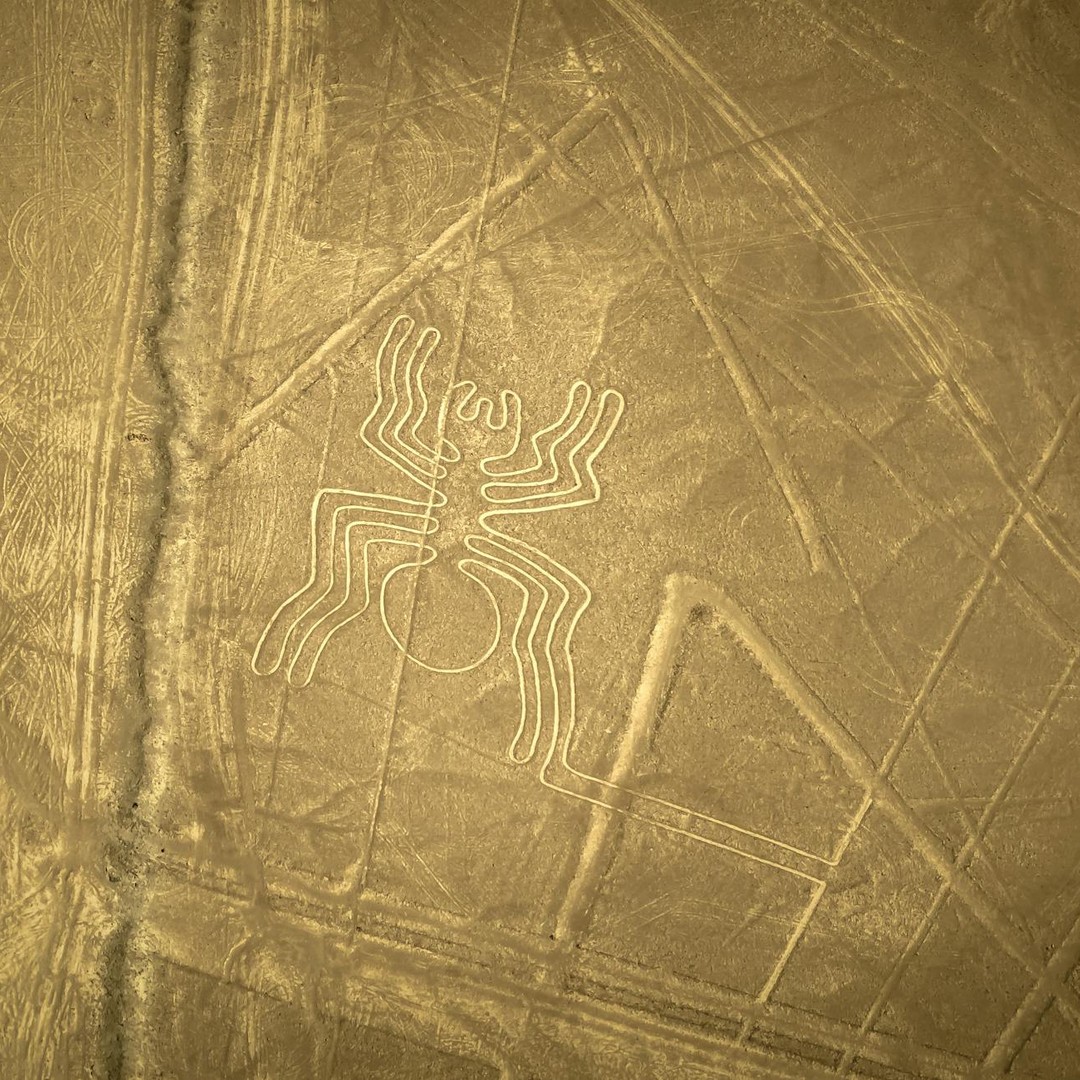 Les lignes de Nazca sont visibles surtout depuis le ciel ou les hauteurs.
