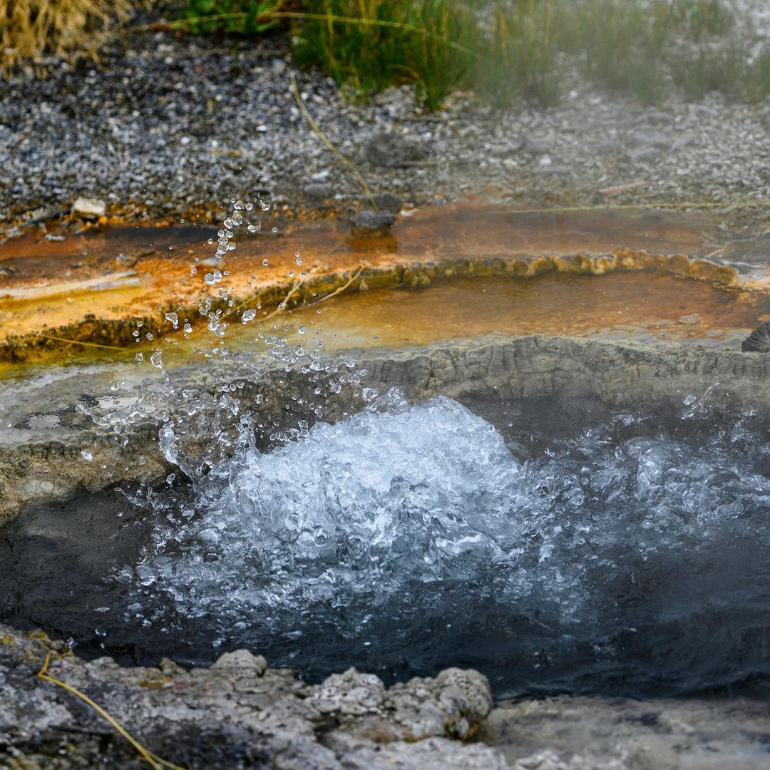 Les sources hydrothermales nourrissent des écosystèmes sans lumière solaire.