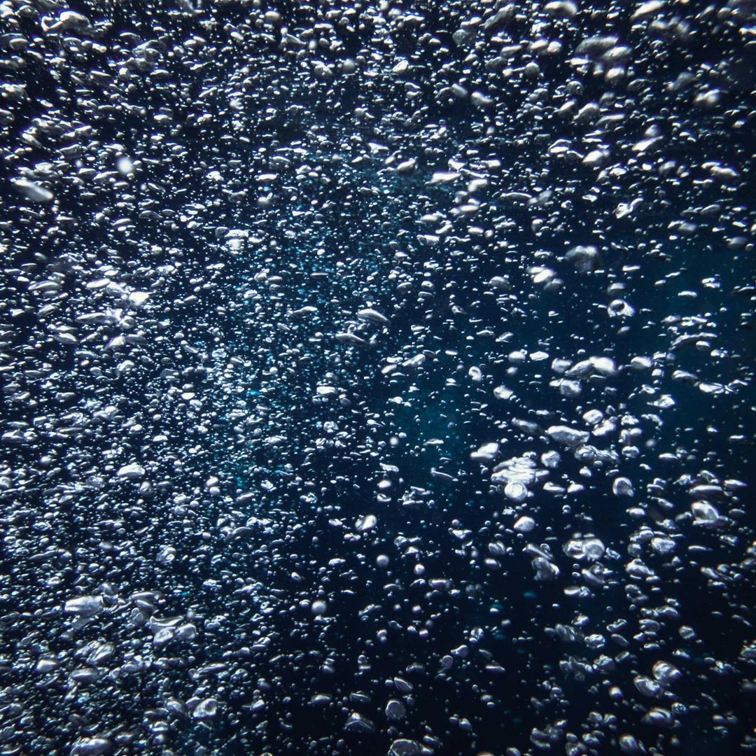 Une zone minimale d'oxygène concentre des eaux où beaucoup d'animaux respirent difficilement.