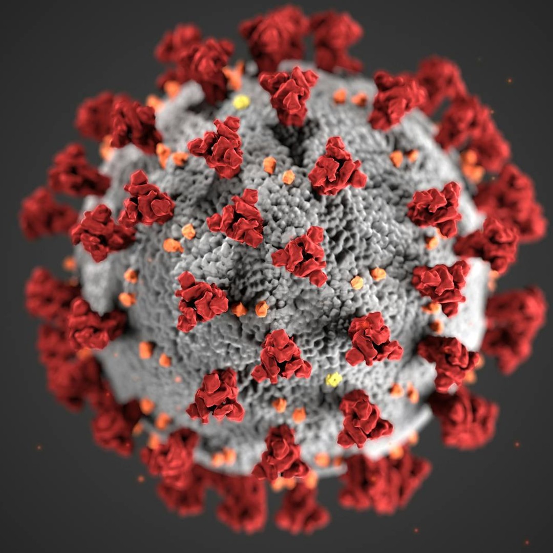 Les virus sont 100 fois plus petits que les bactéries.