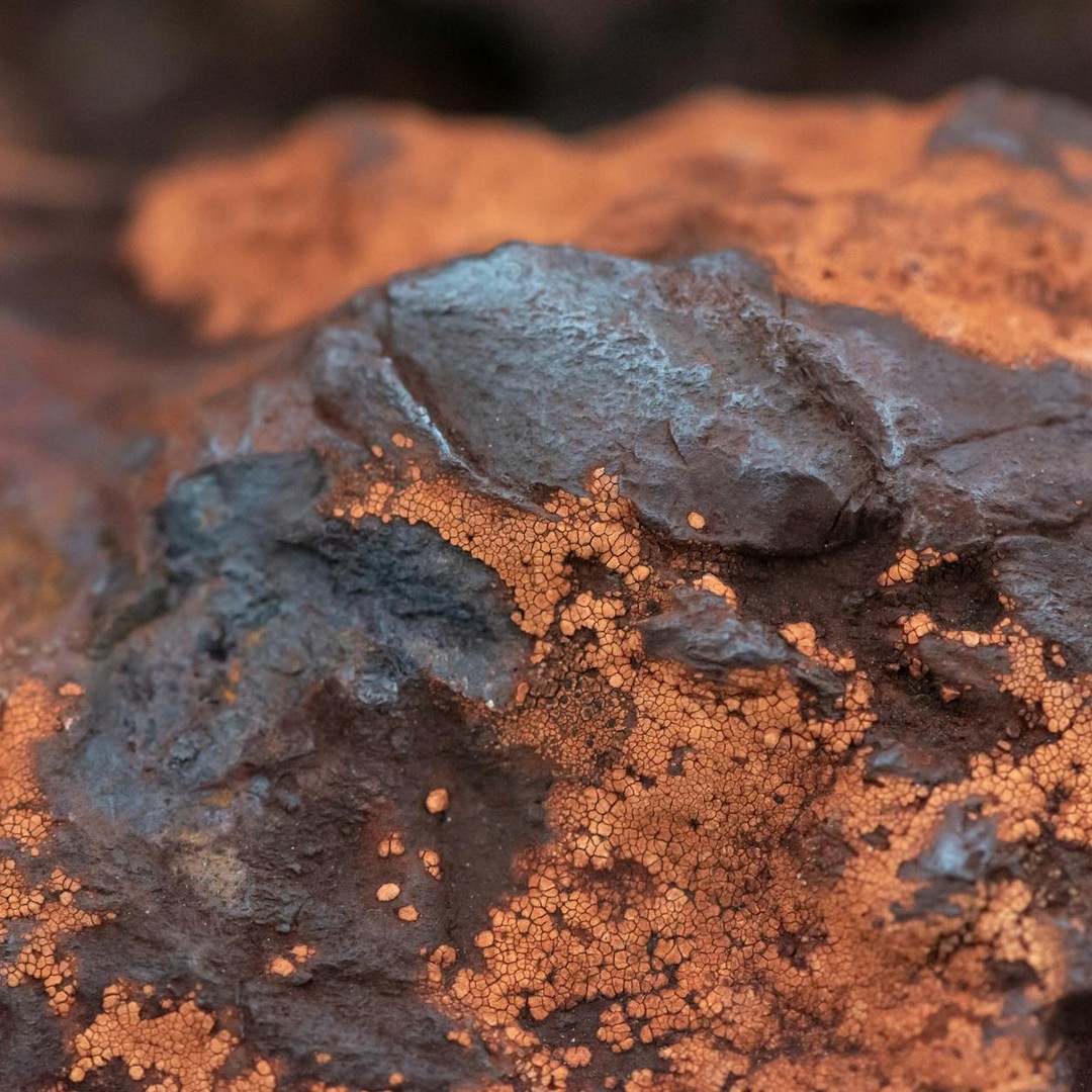 Les météorites métalliques proviennent souvent de noyaux d'anciens petits corps brisés.