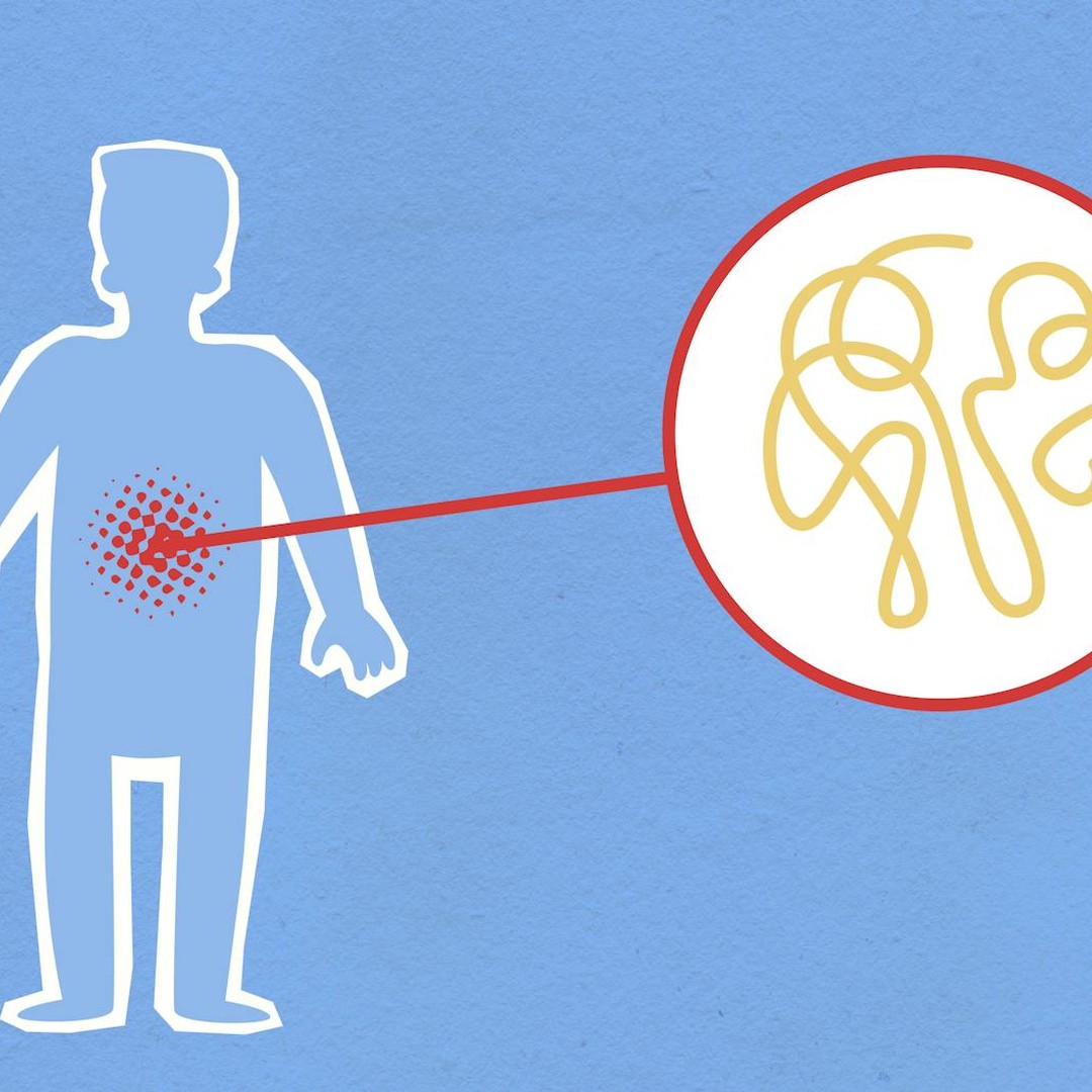 L'acide gastrique est très corrosif, mais l'estomac se protège grâce à une barrière de mucus.