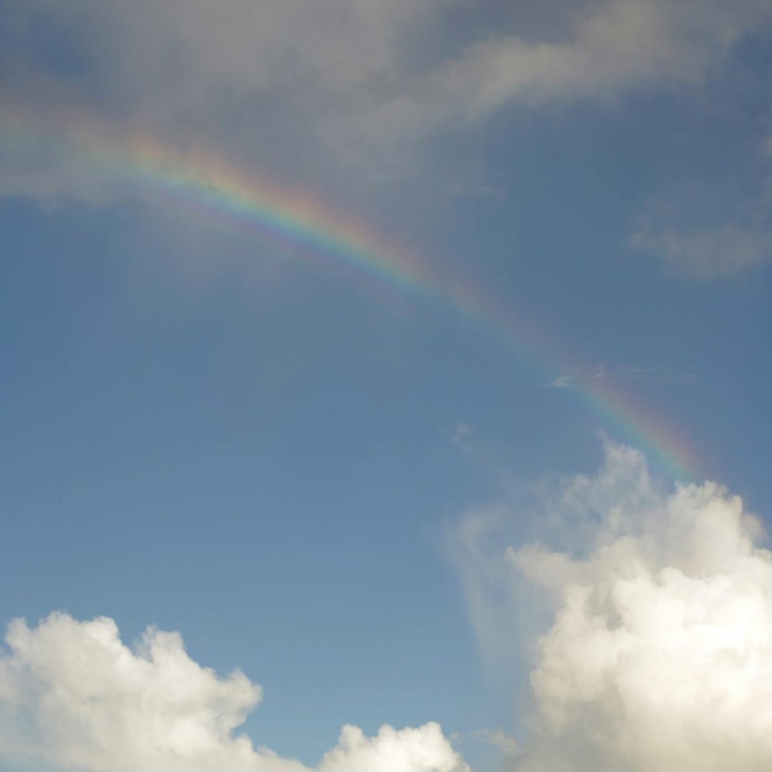 Les arcs-en-ciel sont en réalité des cercles complets.