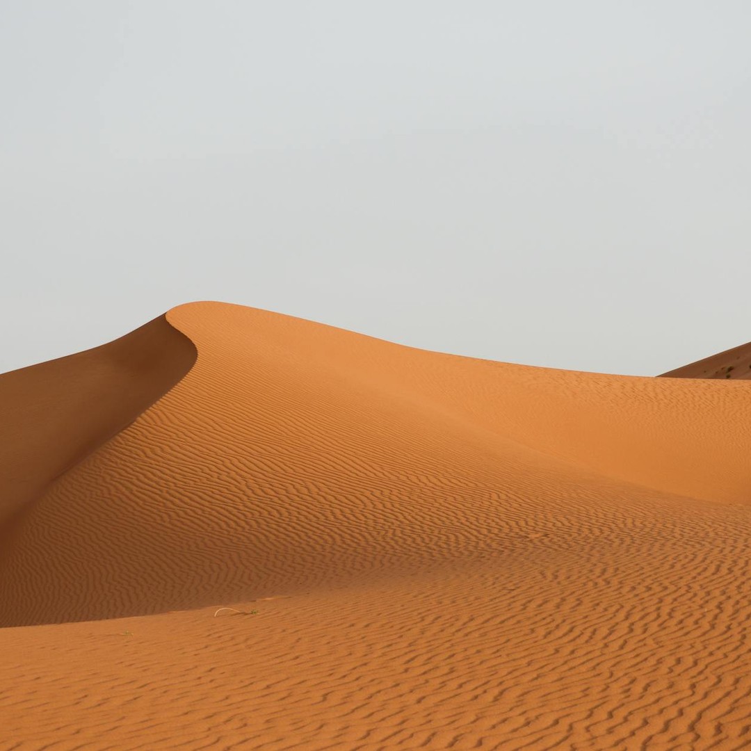 Le sable du désert du Sahara fertilise la forêt amazonienne grâce au vent.