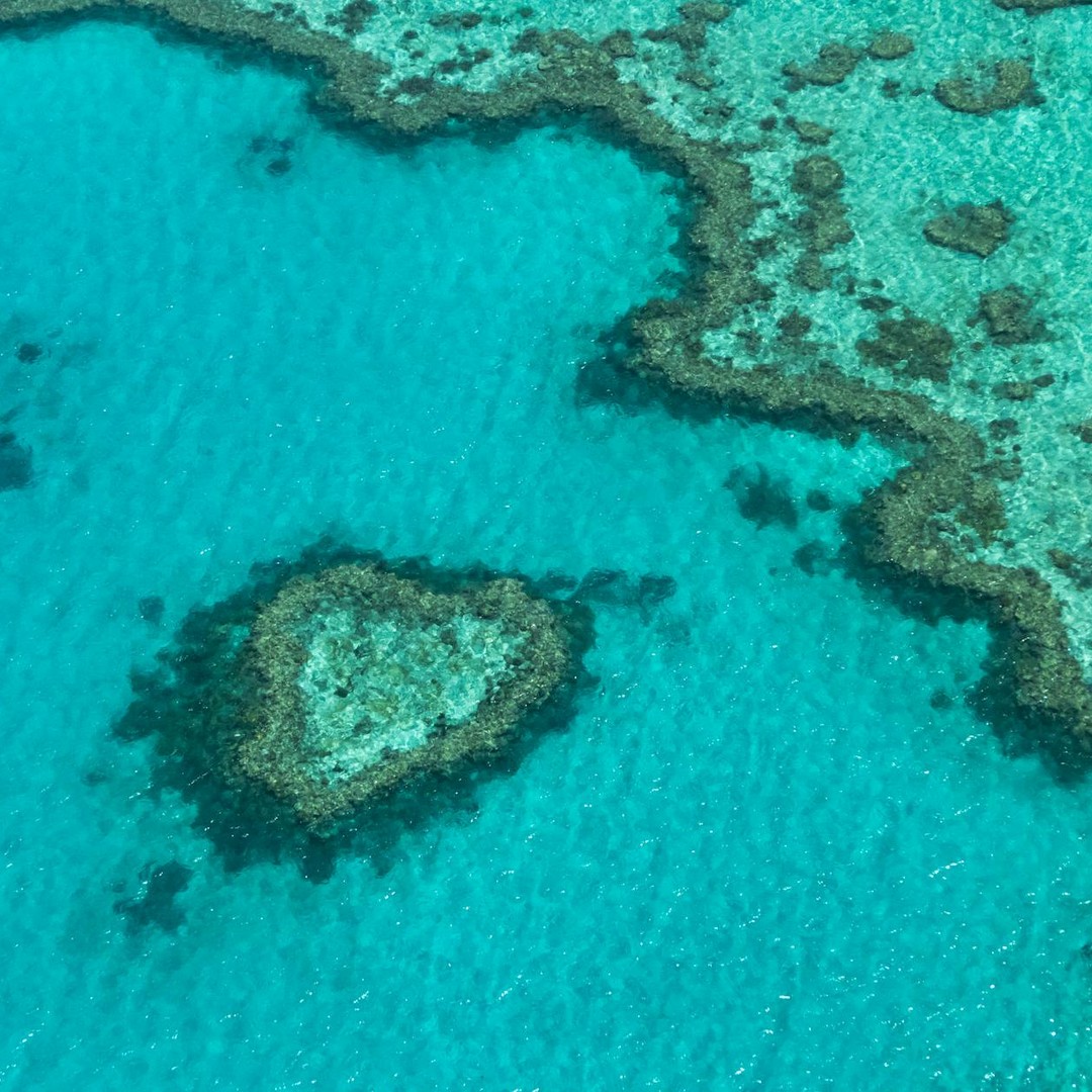 La Grande Barrière de Corail est la plus grande structure vivante visible depuis l'espace.