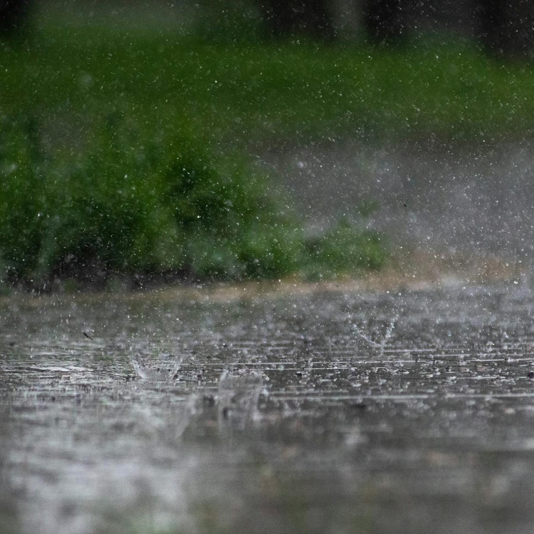 L'odeur de la pluie, appelée pétrichor, peut réveiller des souvenirs très personnels.