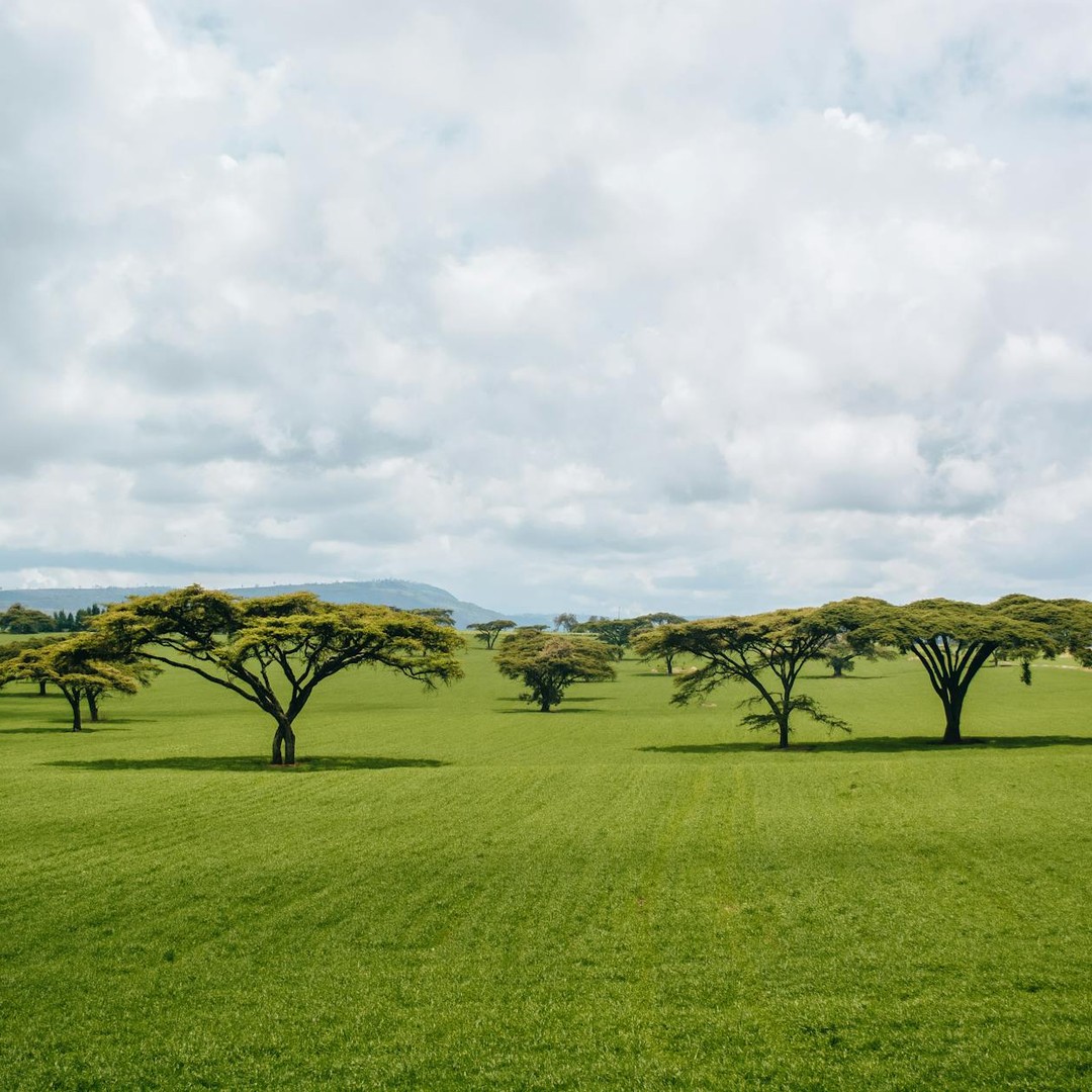 Le Sahara était autrefois une savane verdoyante couverte de lacs.