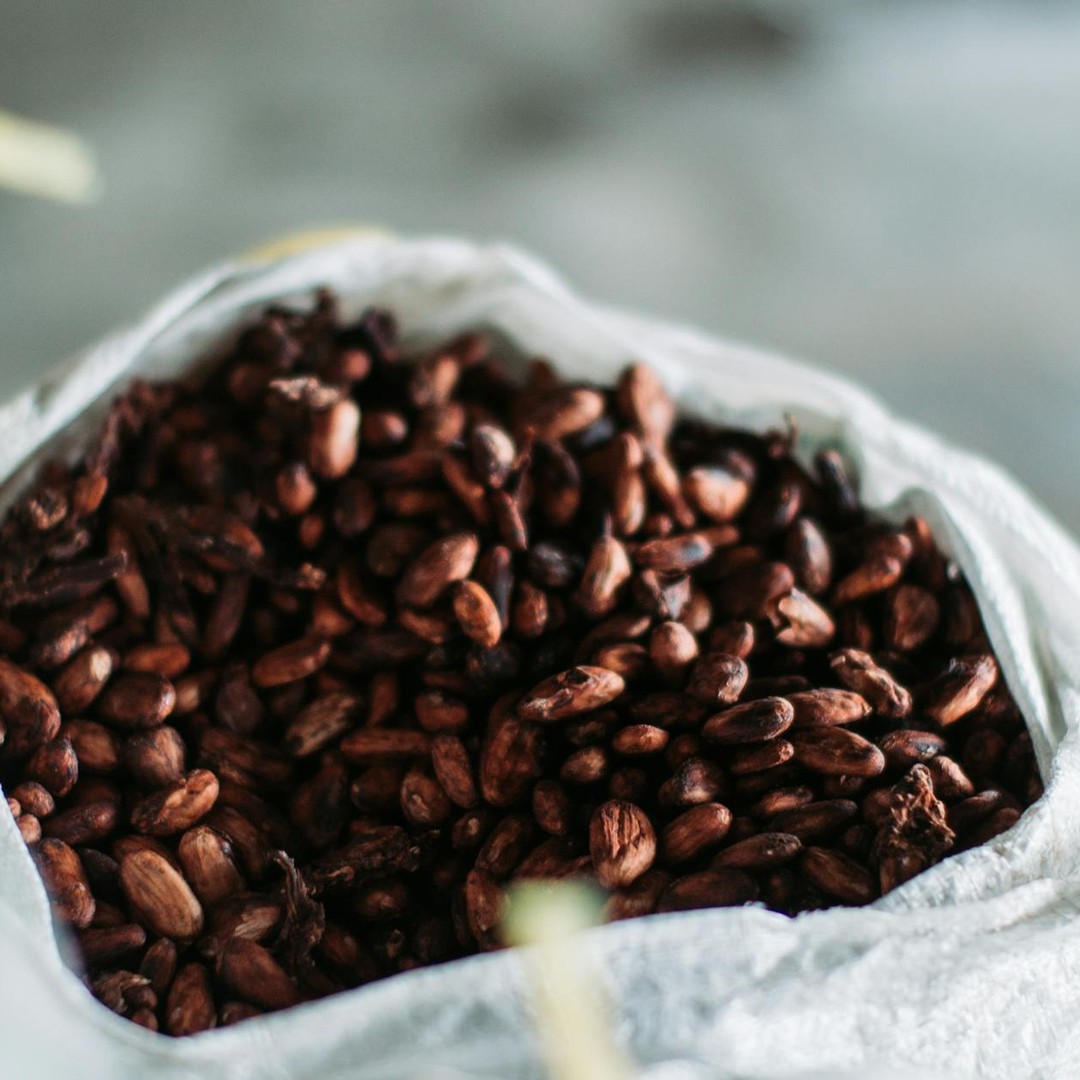 Les Mayas utilisaient des fèves de cacao comme monnaie d'échange.
