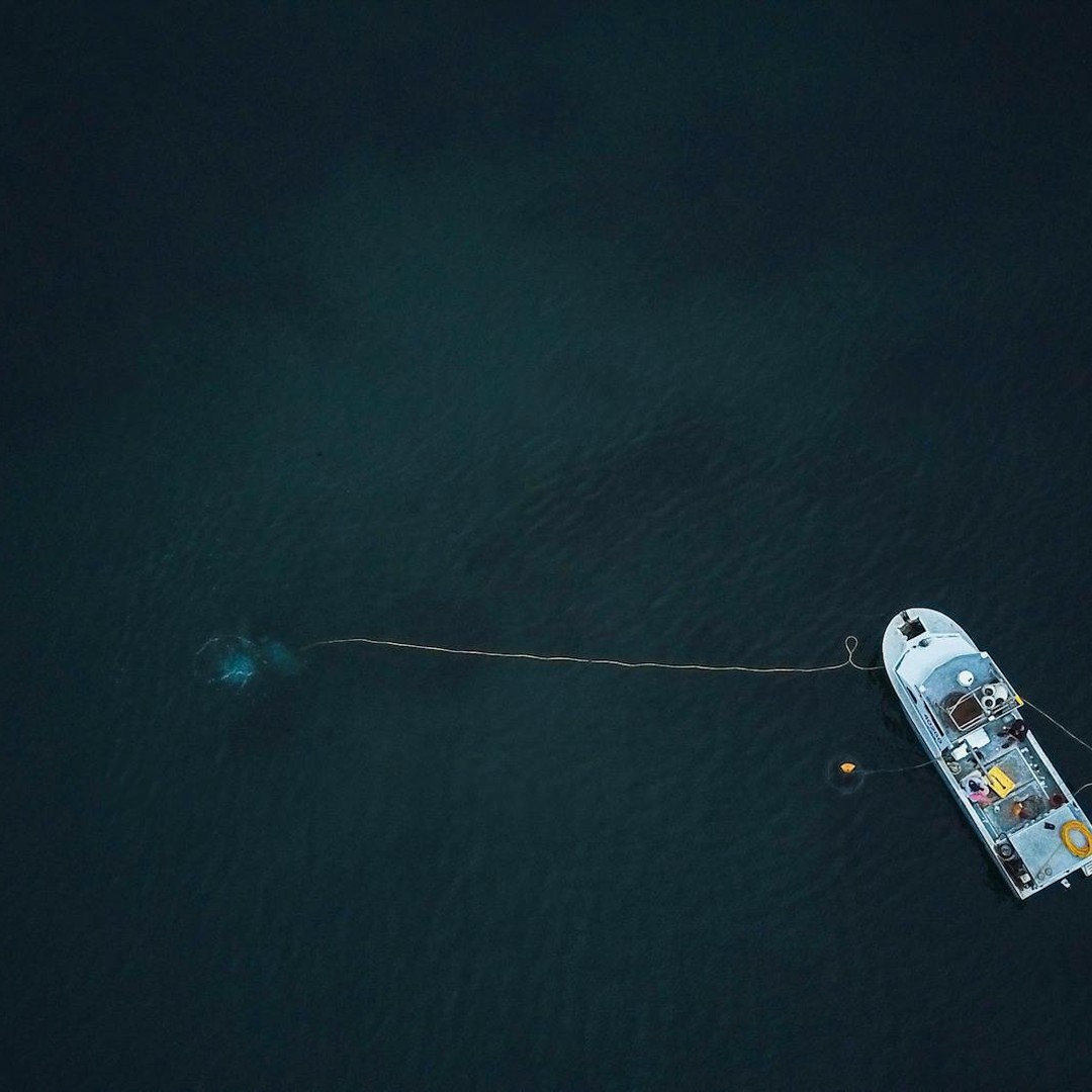 Moins de 5 % des fonds marins ont été explorés avec précision par l'homme.