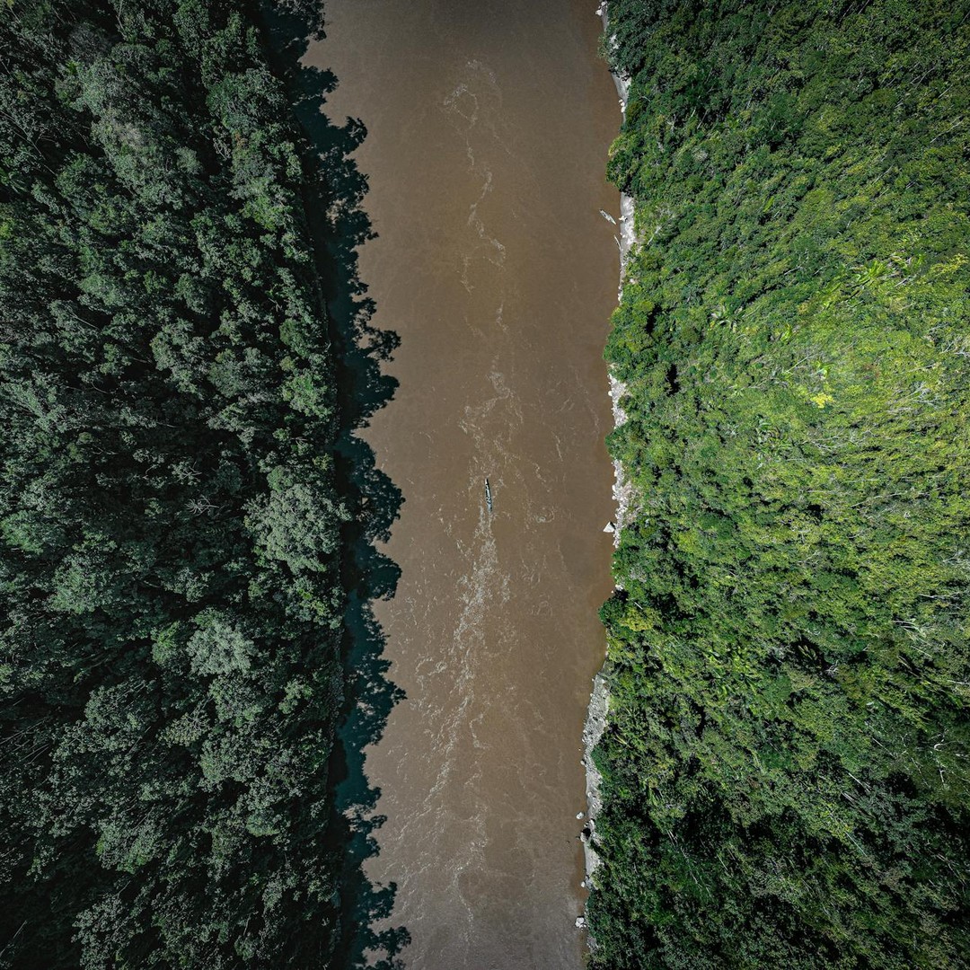 La forêt amazonienne n'est pas le 'poumon de la Terre' car elle consomme presque tout l'oxygène qu'elle produit.