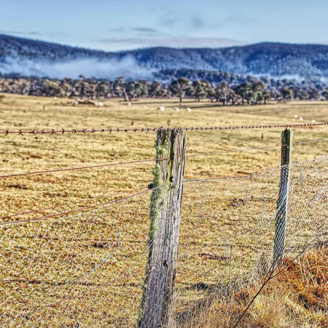 L'Australie a construit la plus longue clôture du monde pour protéger ses pâturages.