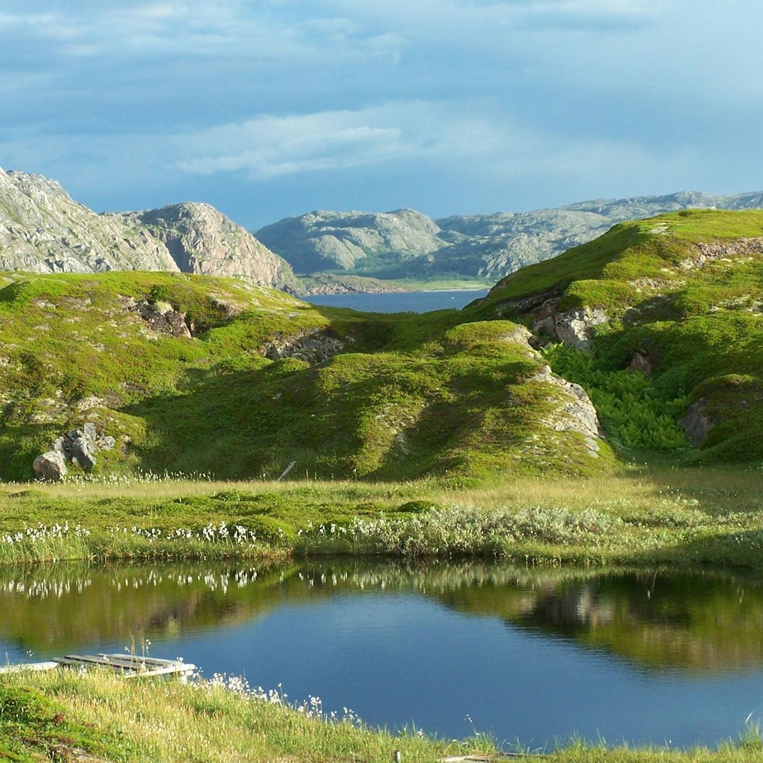 Le Groenland était vraiment vert il y a 450 000 ans.