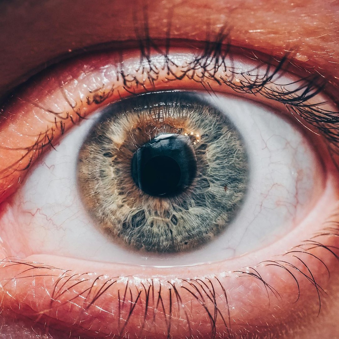 Si l'œil humain était un appareil photo numérique, il aurait une résolution de 576 mégapixels.