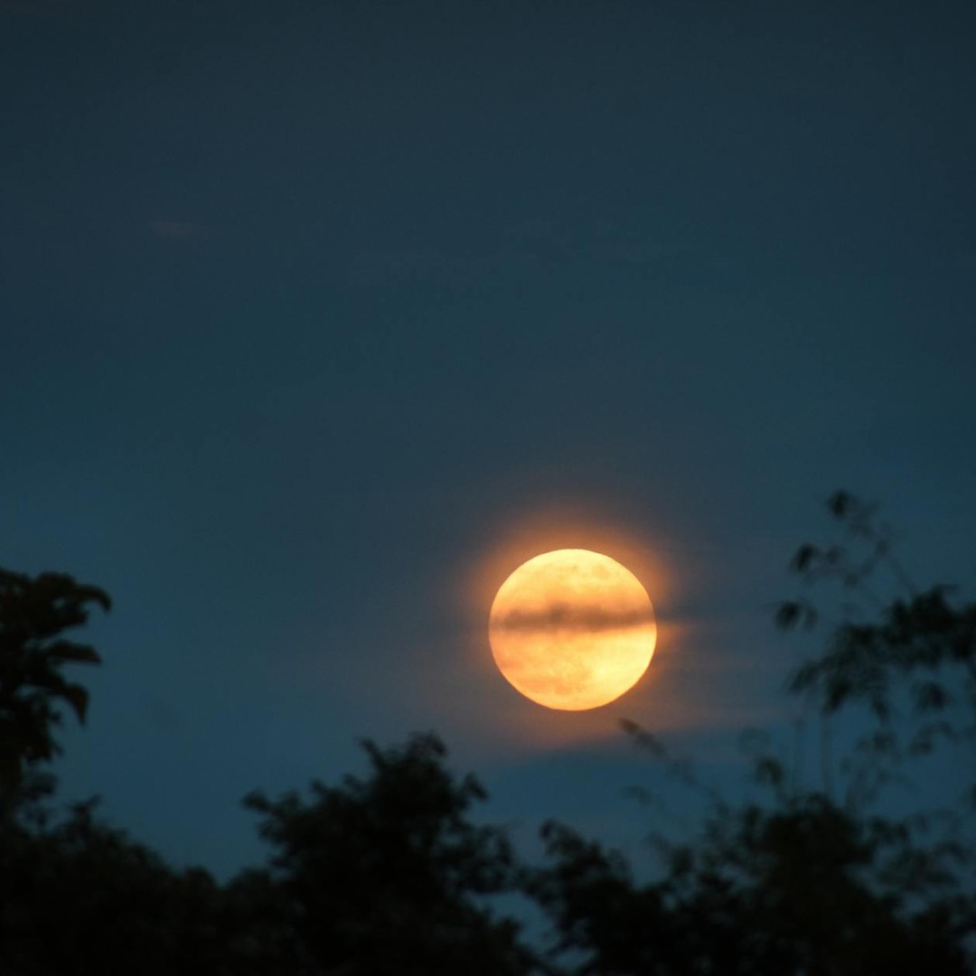 La Lune possède des tremblements de lune encore actifs.