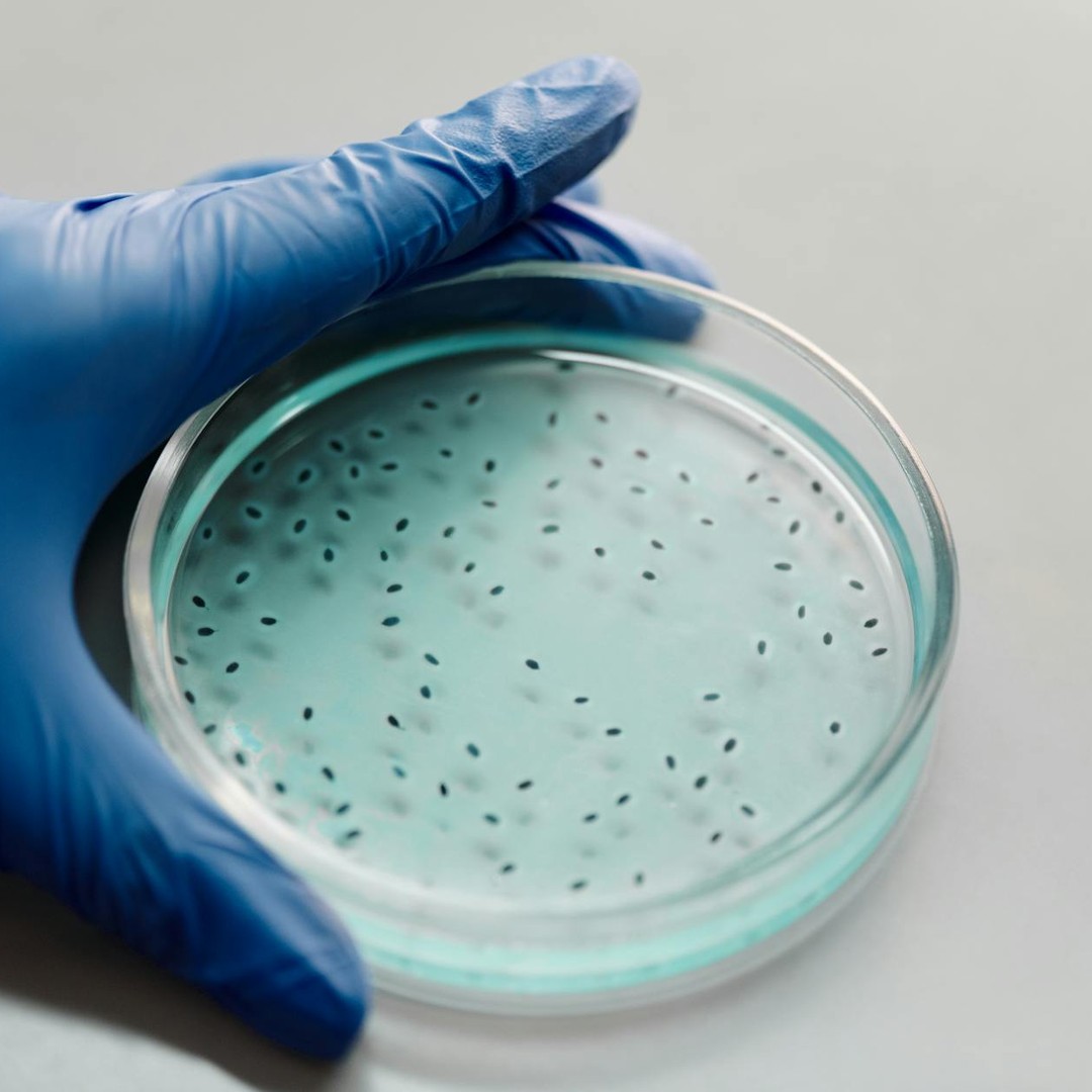 Votre microbiome intestinal pèse environ 1,5 à 2 kg, soit autant que votre cerveau.