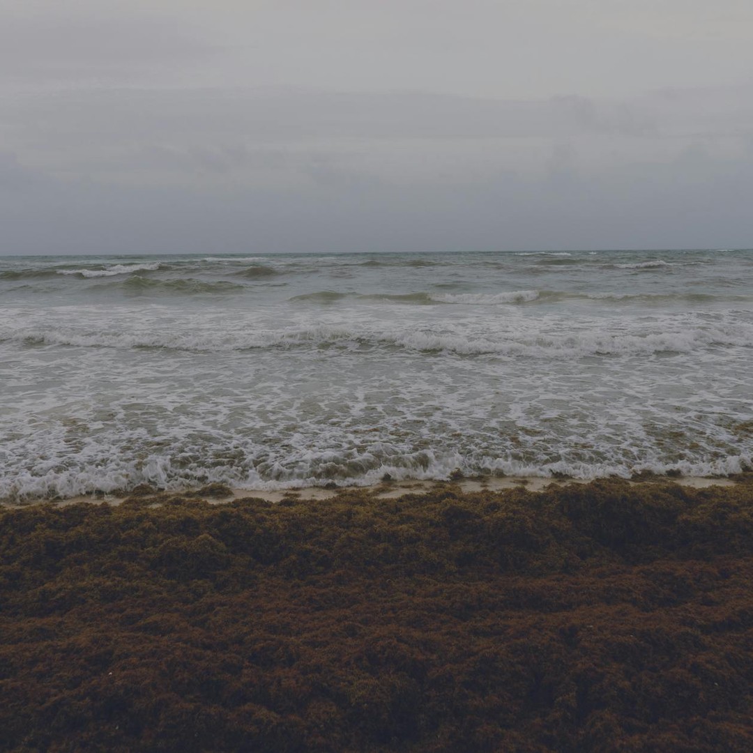 La mer des Sargasses est la seule mer au monde qui n'a pas de rivages terrestres.