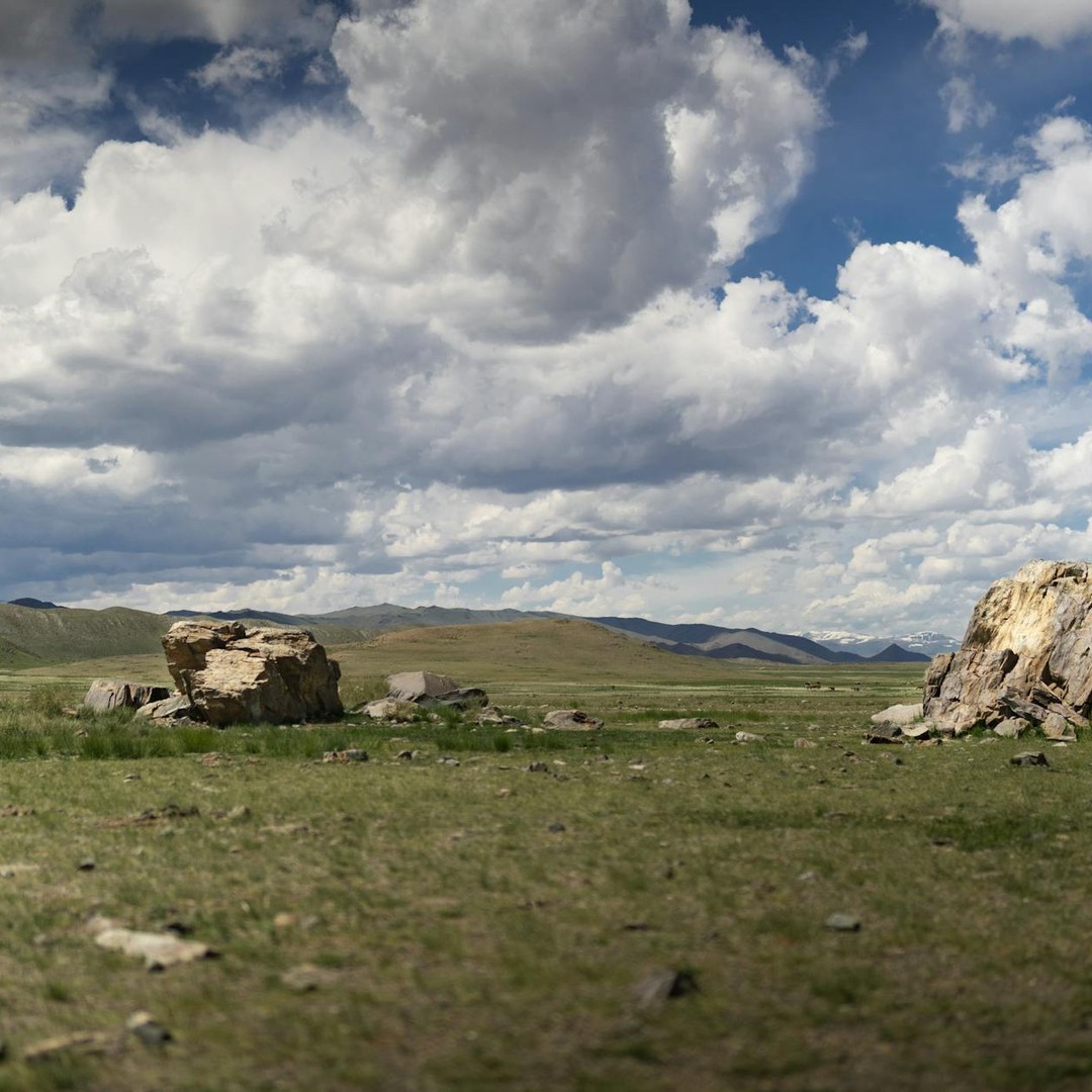 Les steppes sont d'immenses plaines herbeuses sans arbres, typiques d'Asie centrale et d'Amérique du Nord.