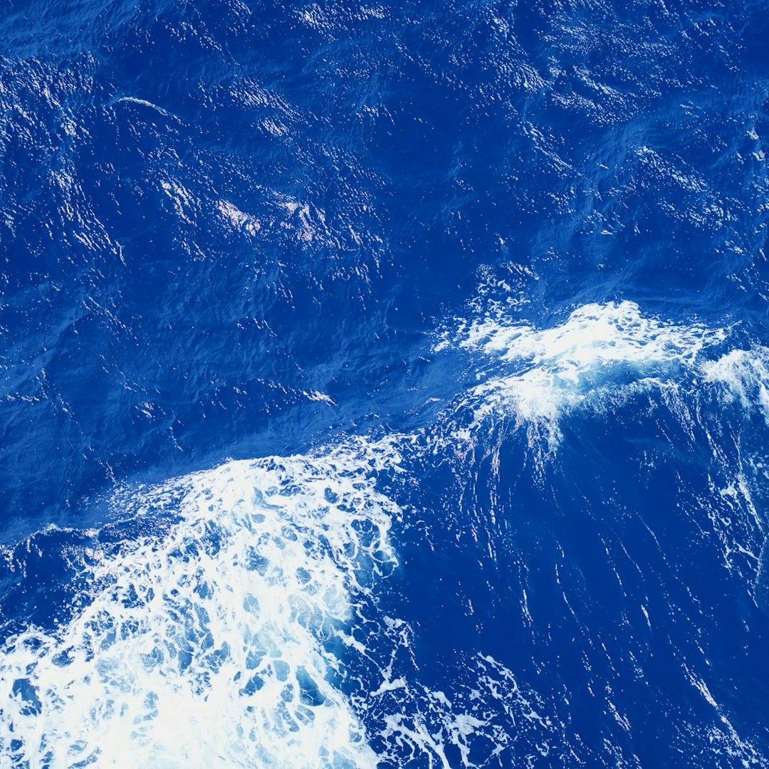 Le Kuroshio est un courant chaud puissant du Pacifique Nord, comparable au Gulf Stream de l'Atlantique.
