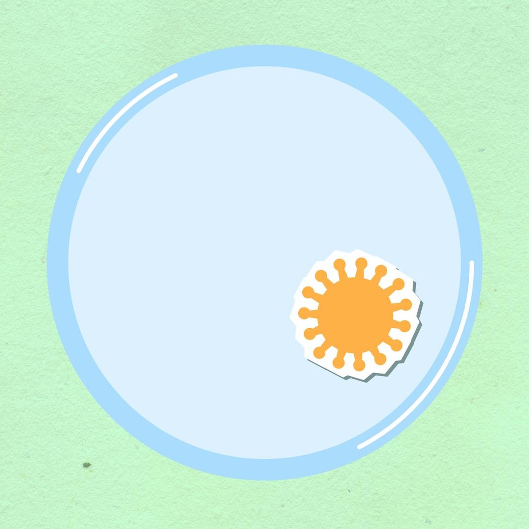 Votre système immunitaire adaptatif garde en mémoire chaque virus qu'il a déjà combattu.