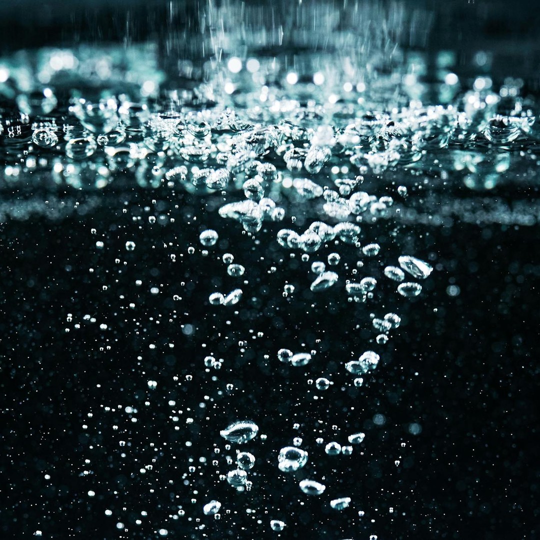 La neige marine est une pluie ininterrompue de détritus organiques tombant vers les abysses.