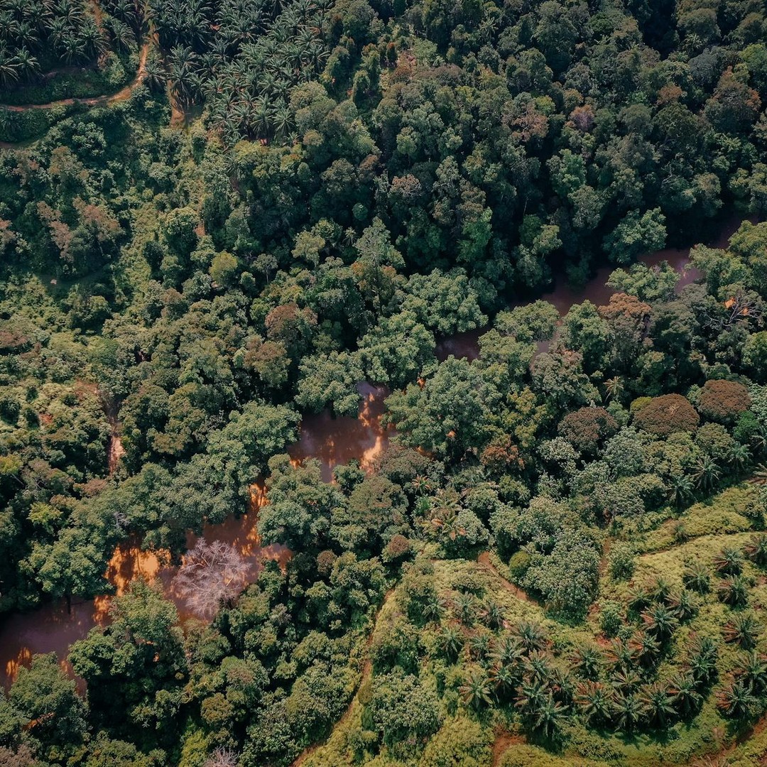 Le fleuve Congo est le deuxième fleuve le plus puissant au monde après l'Amazone.