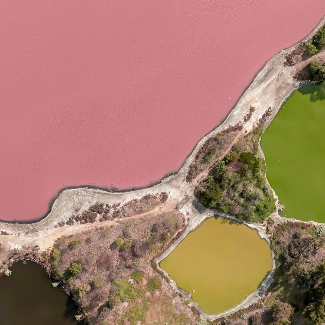 Il existe un lac rose en Australie naturellement coloré.