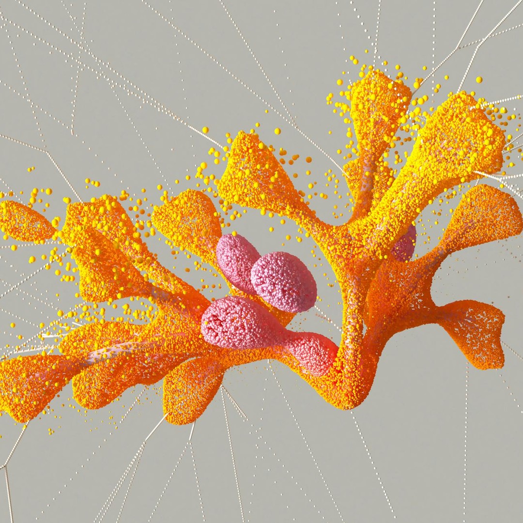 Le cerveau humain utilise des signaux électriques, mais il ne fonctionne pas comme une petite ampoule.