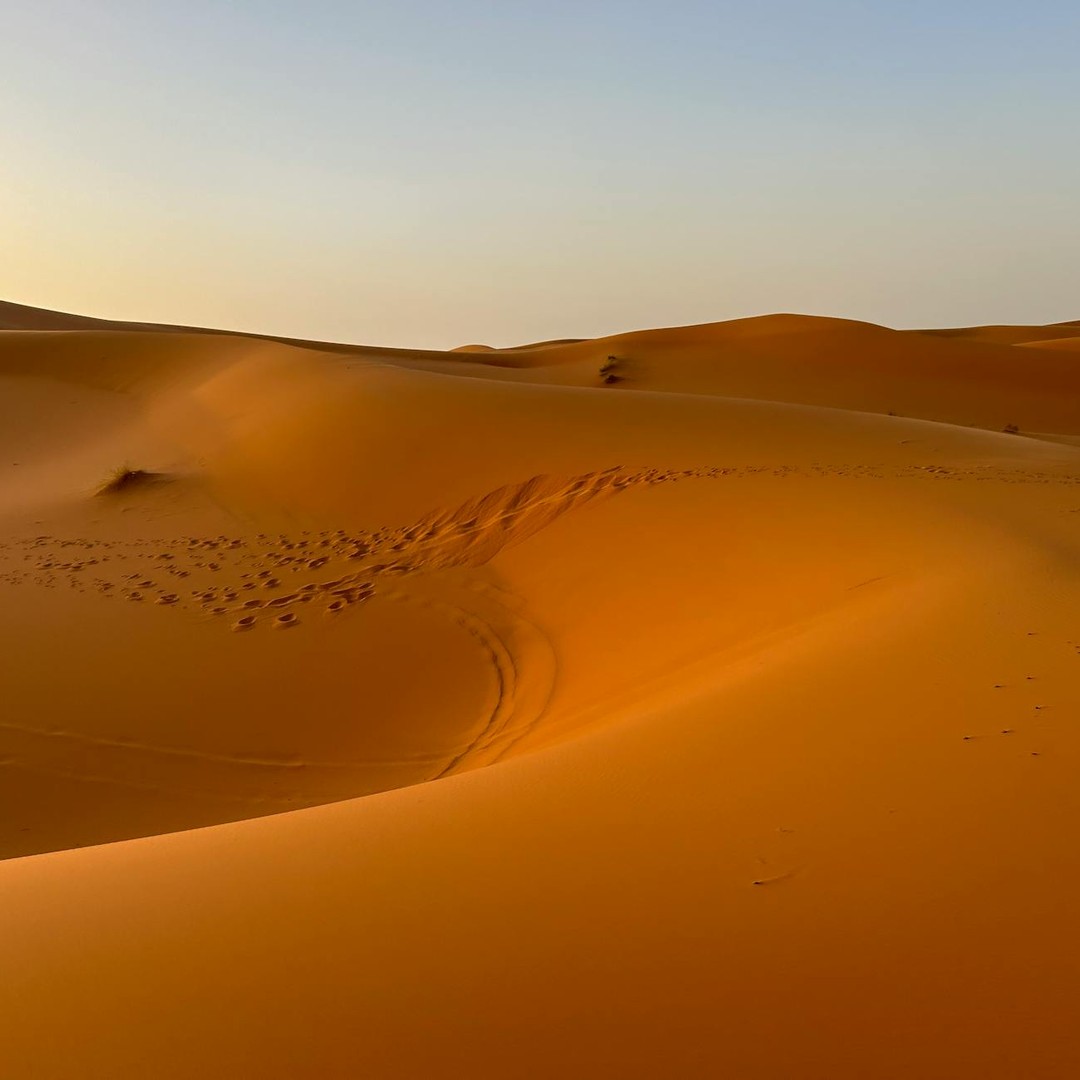 Le Sahara était une région verdoyante couverte de lacs il y a 6 000 ans.