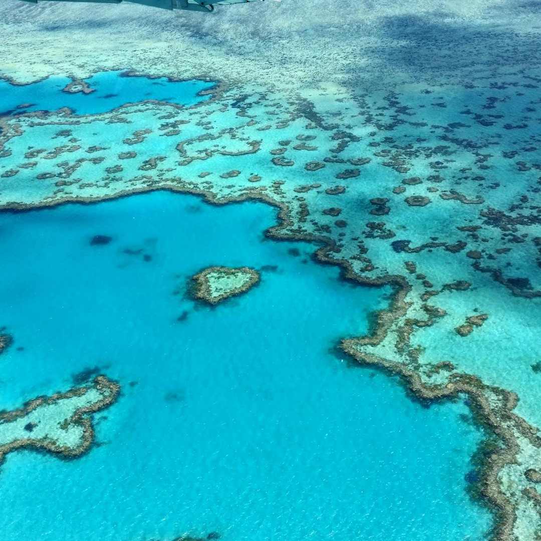 La Grande Barrière de Corail est visible depuis l'espace.