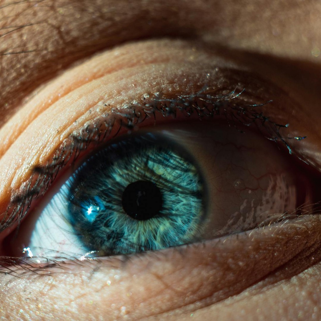 La rétine transforme la lumière en signaux nerveux envoyés au cerveau.