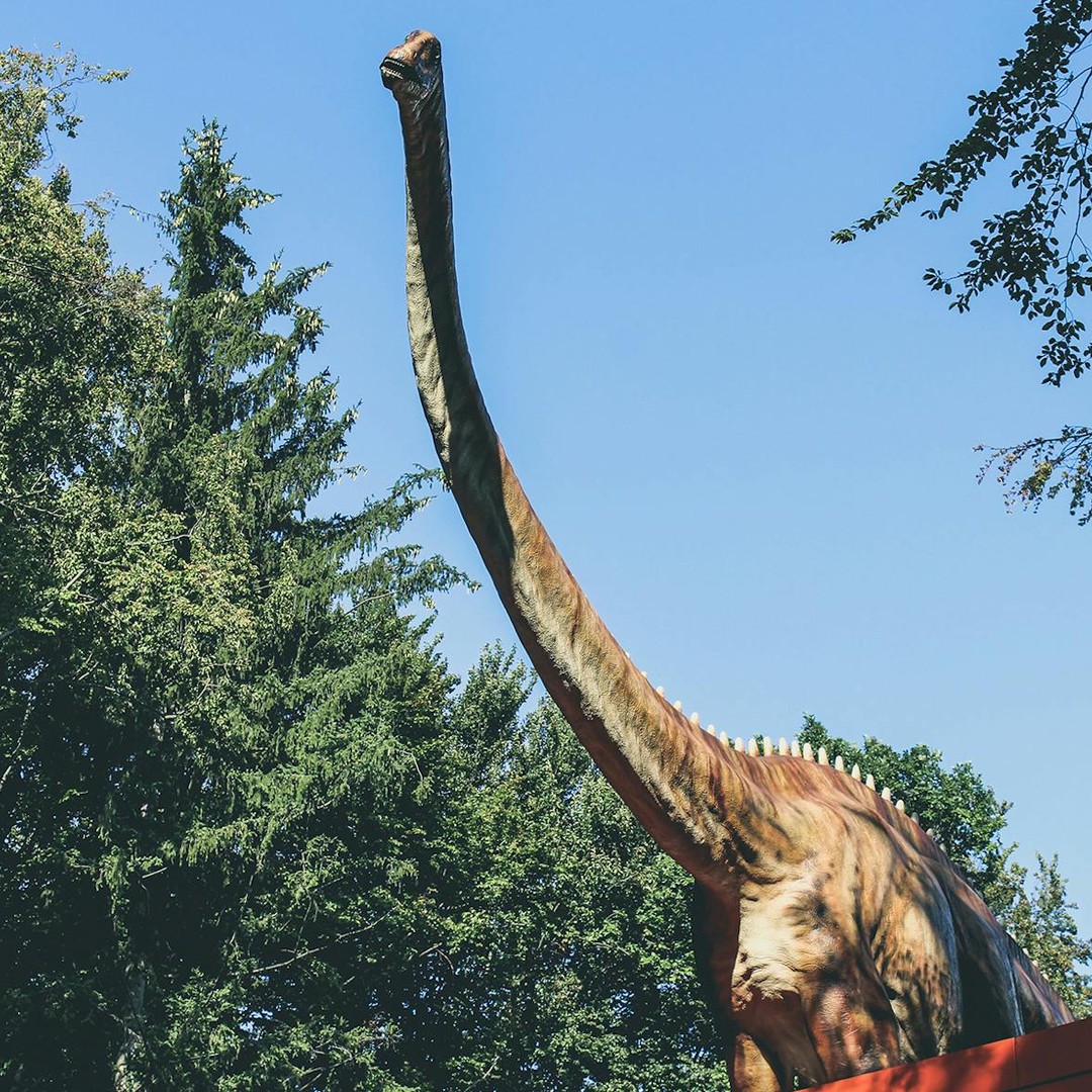 Les dinosaures ont dominé la Terre bien plus longtemps que notre espèce.