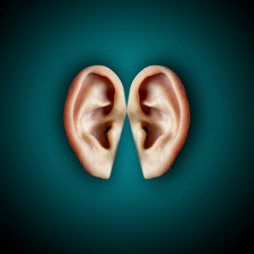 Les humains ont encore des muscles vestigiaux pour bouger les oreilles.
