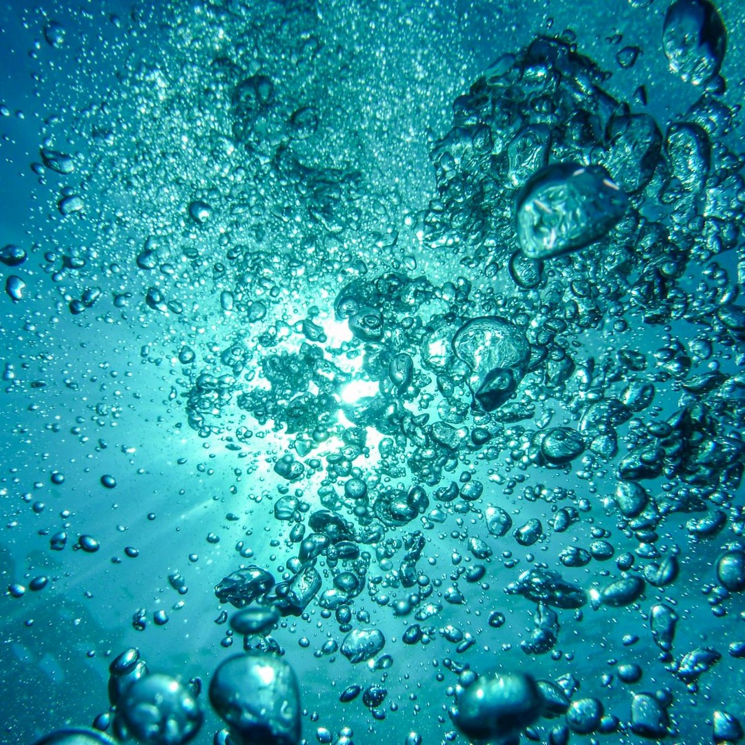 Les fourmis peuvent survivre sous l'eau pendant 24 heures.