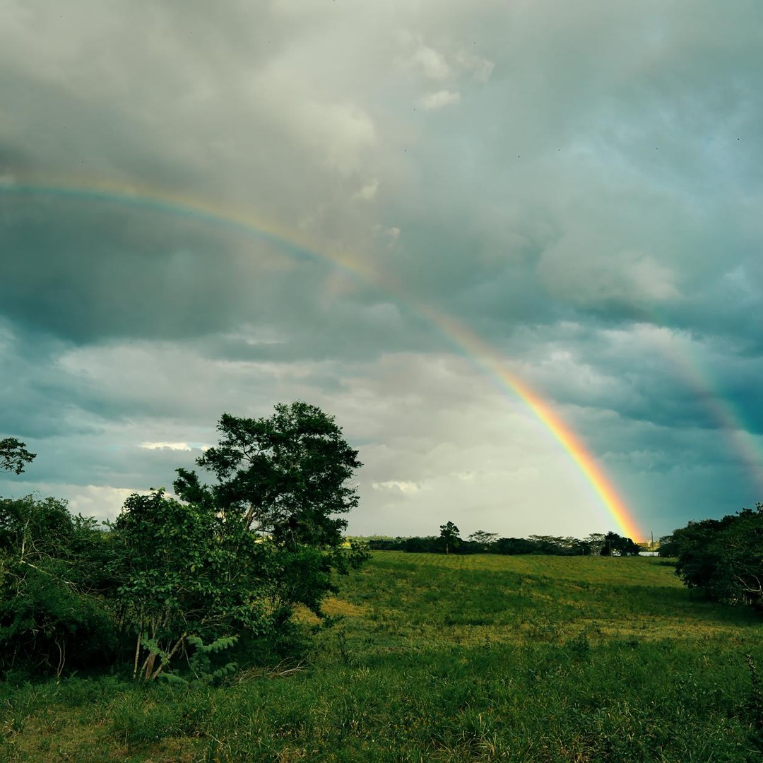 Un arc-en-ciel est en réalité une portion d'un cercle lumineux.