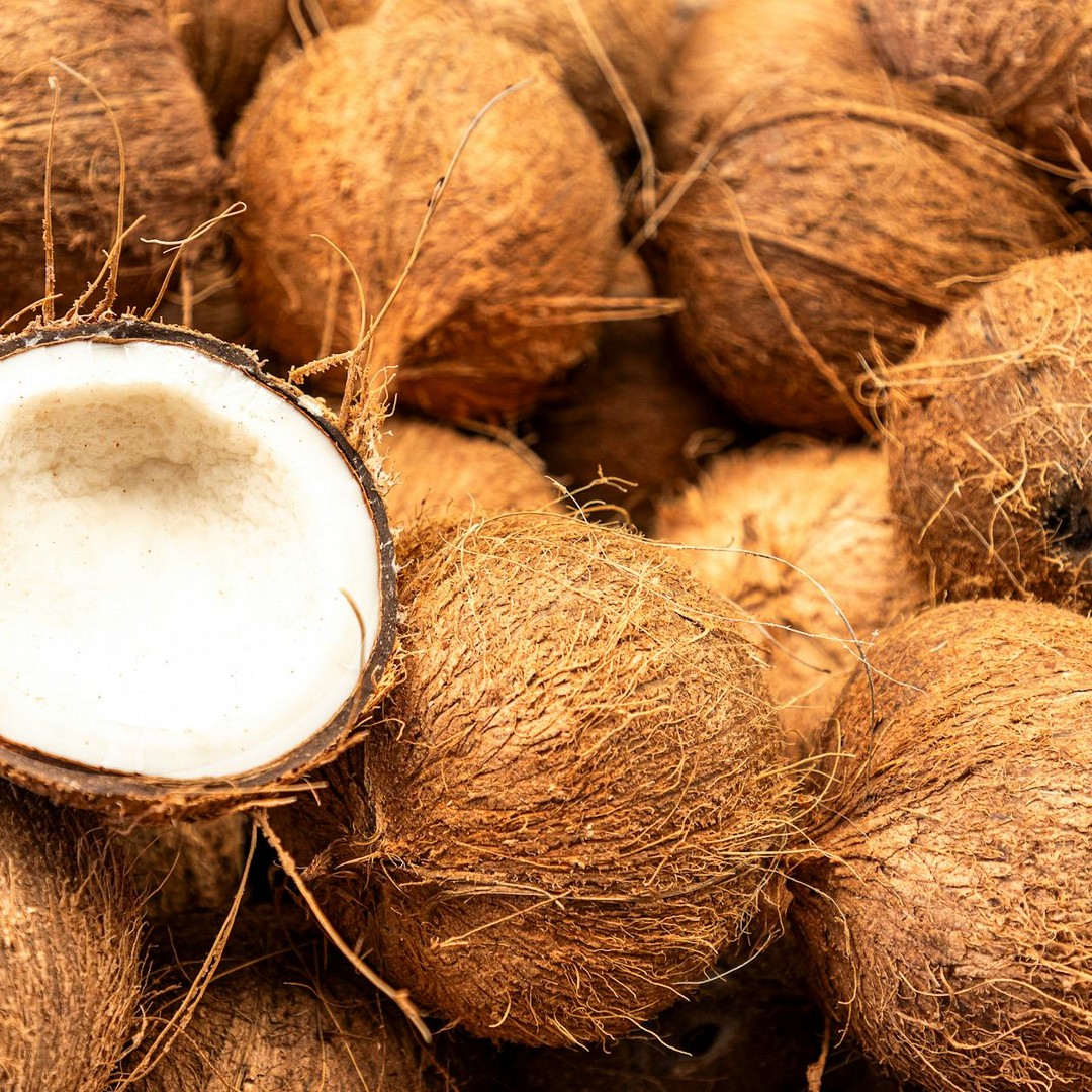 Les noix de coco peuvent flotter en mer tout en gardant leur capacité à germer.
