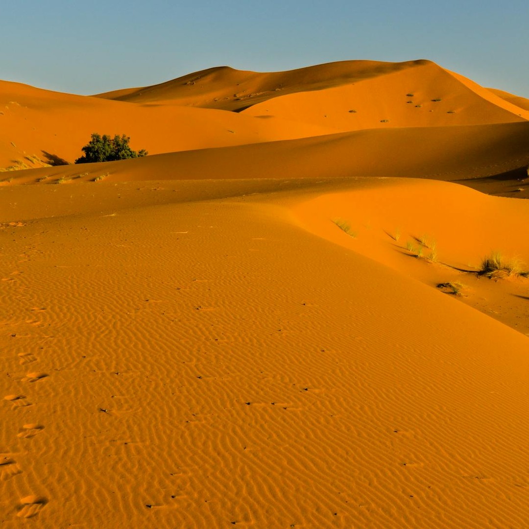 Le desert du Sahara était autrefois bien plus vert à certaines periodes.